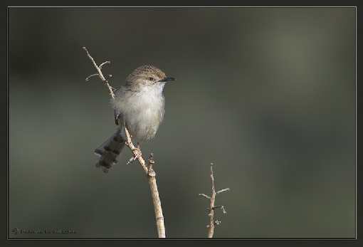 niwelacja terenu Bydgoszcz