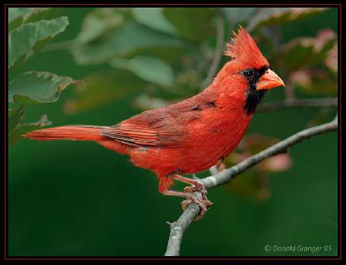 układanie kostki granitowej Pleszew