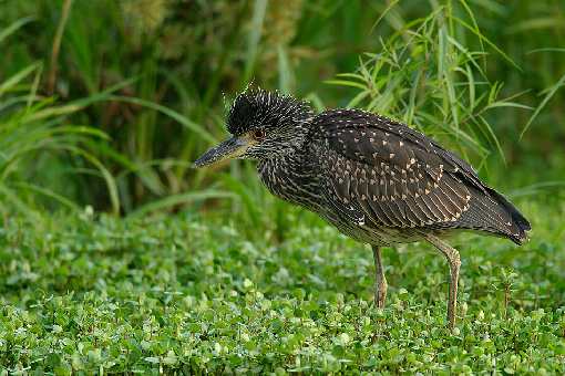 brukarstwo Bydgoszcz brukarstwo Bydgoszcz