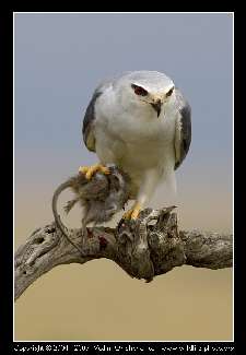 niwelacja terenu Bydgoszcz