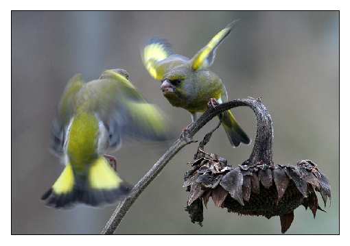 Bydgoszcz usługi koparką